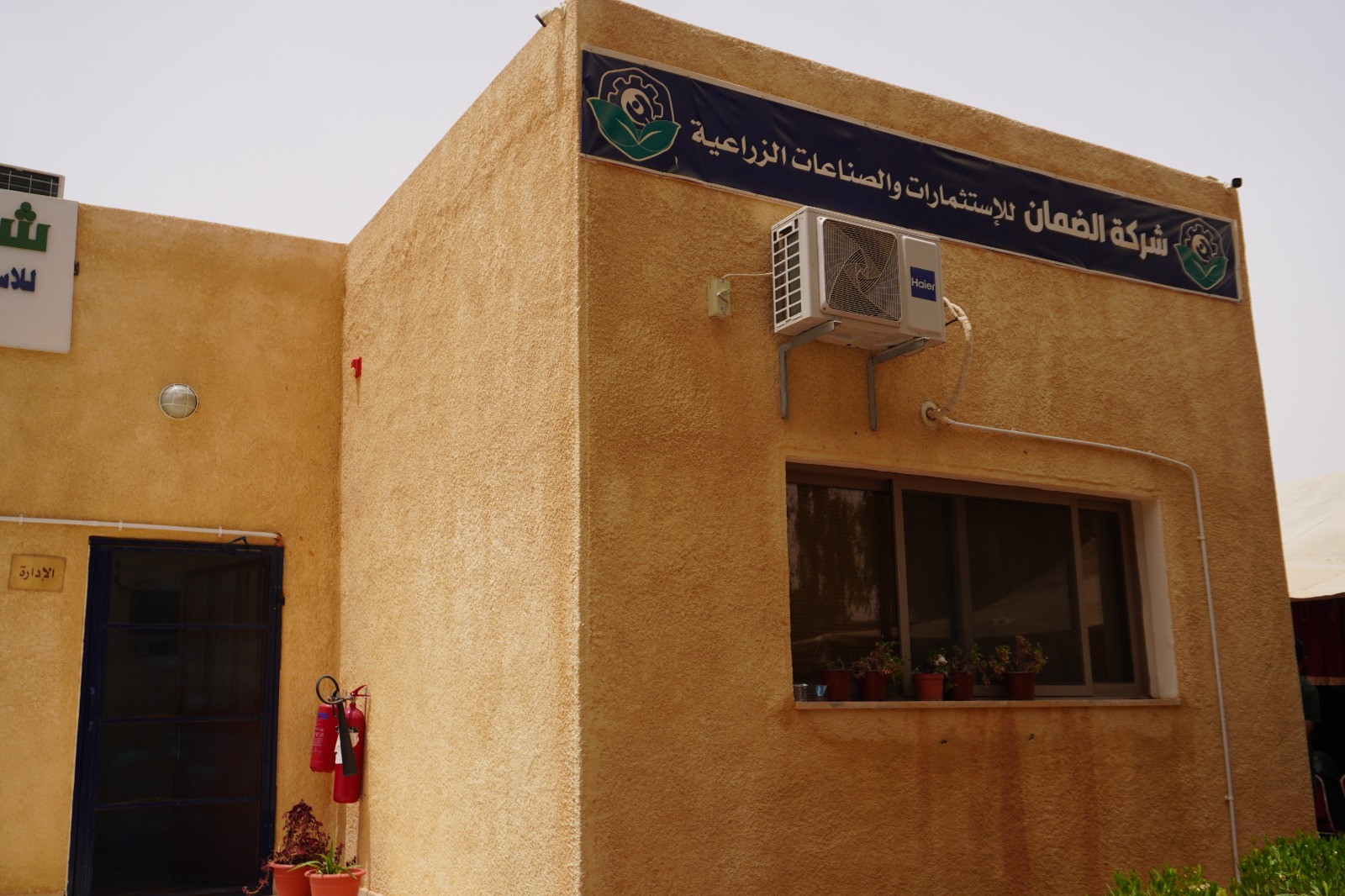 الضمان يزرع التنمية في معان... مشروع زراعي يوفر فرص عمل ويعزز الأمن الغذائي( صور وفيديو)