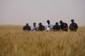 الضمان يزرع التنمية في معان... مشروع زراعي يوفر فرص عمل ويعزز الأمن الغذائي( صور وفيديو)