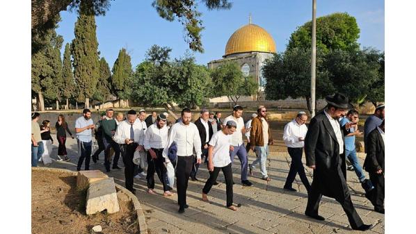 عشرات المستوطنين يؤدون “السجود الملحمي” في باحات الأقصى