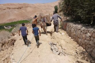 عاجل | مزارعون متضررون يشكون من انقطاع الطريق الزراعي الذي يربط مزارعهم في منطقة الكنيسة الفيحاء محافظة مادبا/صور