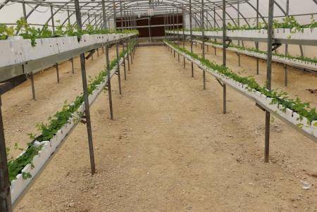 "المهندسين الزراعيين" في الطفيلة تثمن القرار الحكومي بتأجير محطة التوانة