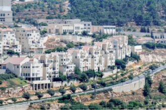 الاحتلال يكشف عن مخطط استيطاني جديد في جبل المكبر جنوب القدس