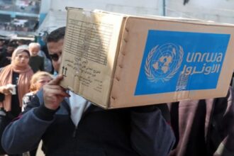 الأردن يجدد دعمه الثابت للأونروا واللاجئين الفلسطينيين
