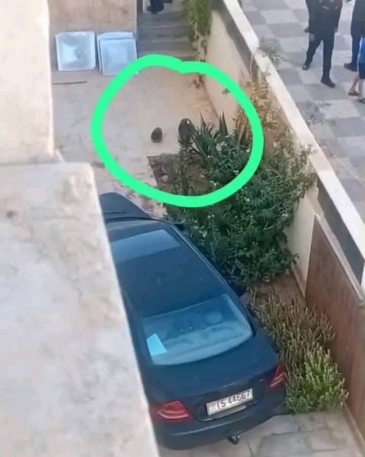 عاجل | سقوط شظية صاروخ على مركبة في العقبة .. تفاصيل