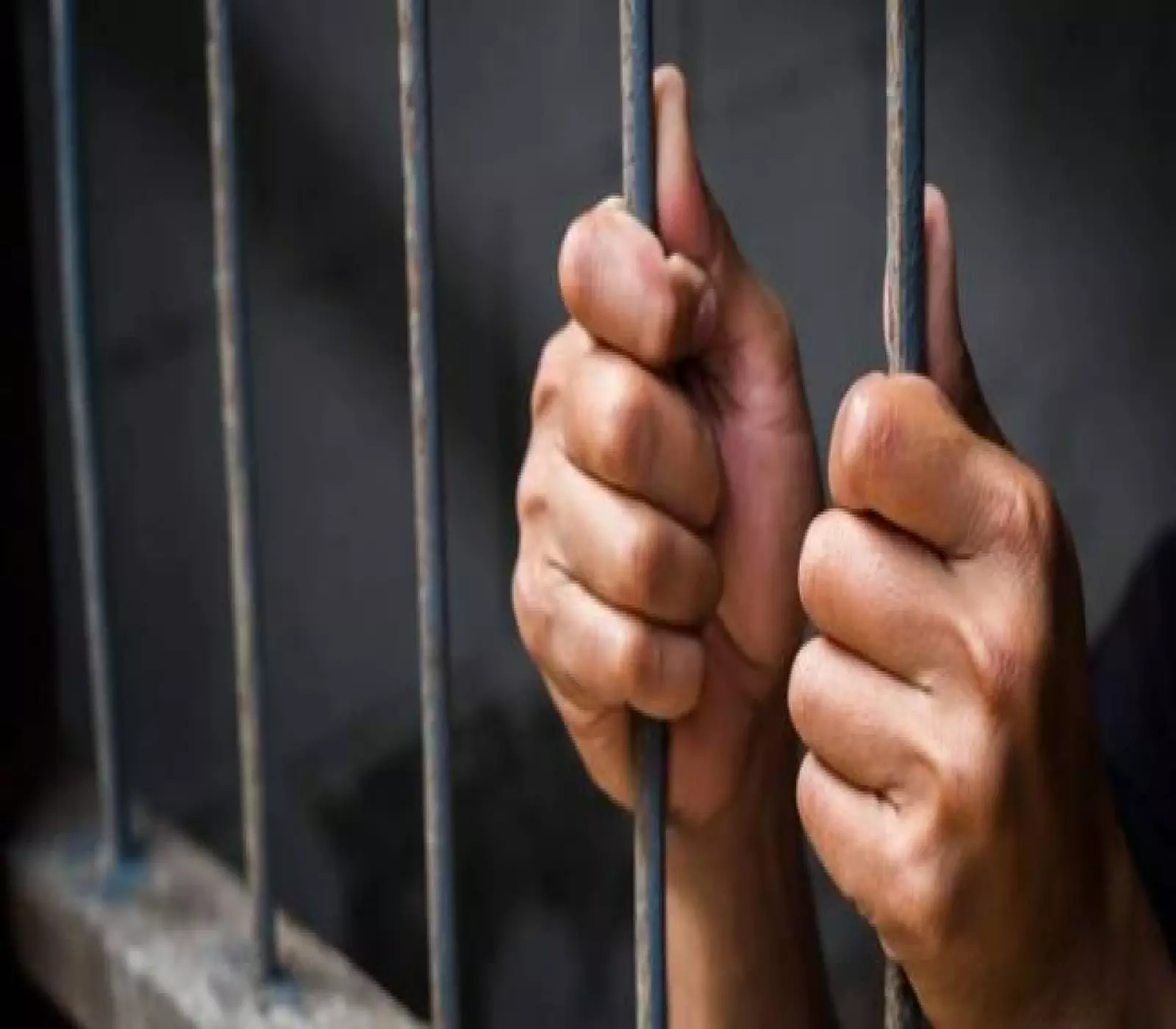 عاجل | الإفراج عن 537 موقوفًا ماليًا بعد بدء تطبيق تعديلات قانون "حبس الميد "