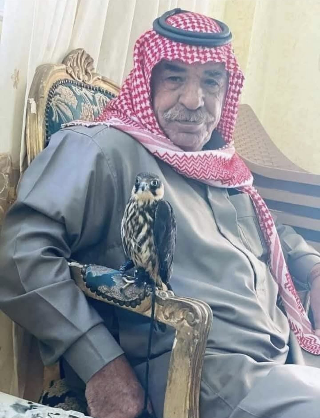 عشائر الازايدة تشيع الشيخ هايل ابو كايد