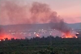 نيران تشعلها إسرائيل تلتهم مزارع حمضيات في الأغوار الشمالية
