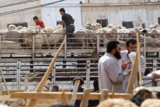 180 طبيب بيطري أردني يشرفون على 4 مسالخ في مكة