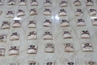 الجيش يحبط تهريب مخدرات عبر بالونات موجهة على الحدود الشرقية