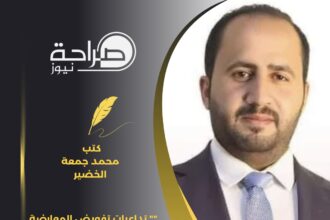" تداعيات تفويض المعارضة السياسية المنظمة "