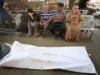 كندا وأستراليا تطالبان بوقف النار في غزة