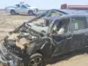 حادث سير يتحول إلى لغز.. العثور على ثروة هائلة داخل سيارة مجهولة الهوية!