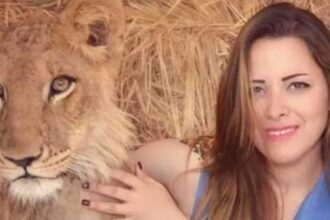 حبس مدربة أسود 3 أشهر بعد هجوم أسد تسبب في بتر ذراع شاب بمصر