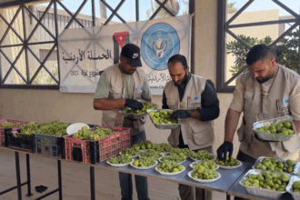 ثمرة خير من الأردن إلى غزة.. دعم إنساني يتحدى الحصار