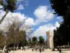 آخر موعد لتقديم طلبات القبول الموحد للبكالوريوس في الجامعات الرسمية اليوم