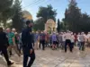 اقتحام المسجد الأقصى من قبل مستوطنين بحماية الاحتلال