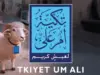 تكية أم علي ترسل أولى شحنات لحوم الأضاحي إلى غزة منذ ستة أشهر