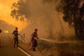 اندلاع حريق واسع في غابات شمال المغرب