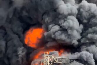 عاجل | حريق يتسبب بانقطاع الكهرباء عن وادي الأردن والشونة الشمالية .. فيديو
