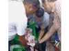 دجاج فاسد مجهول المصدر في الزرقاء
