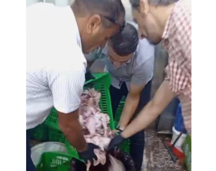 دجاج فاسد مجهول المصدر في الزرقاء