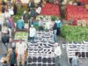 3257 طنًا خضار وفواكه تدخل السوق المركزي اليوم