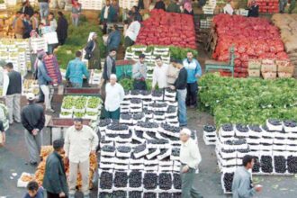 3257 طنًا خضار وفواكه تدخل السوق المركزي اليوم