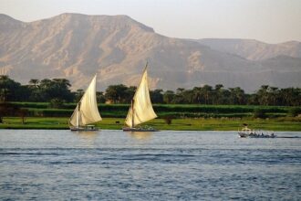 حادثة مؤسفة في الجيزة