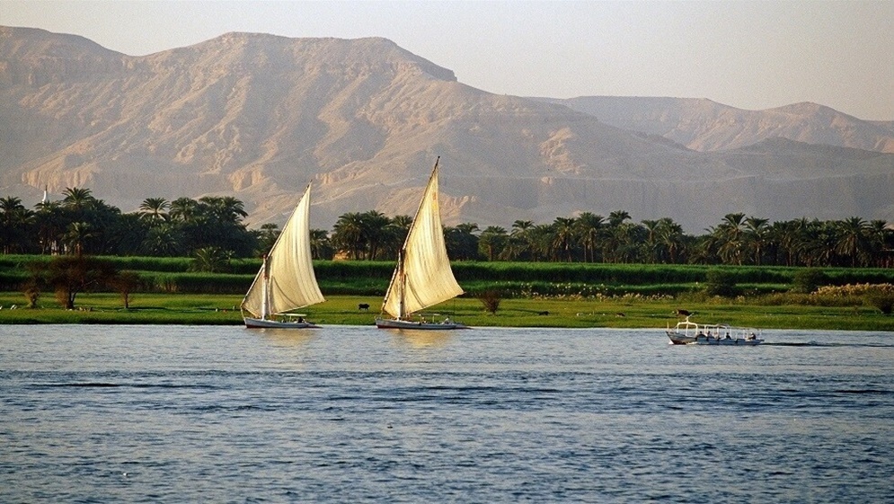 حادثة مؤسفة في الجيزة