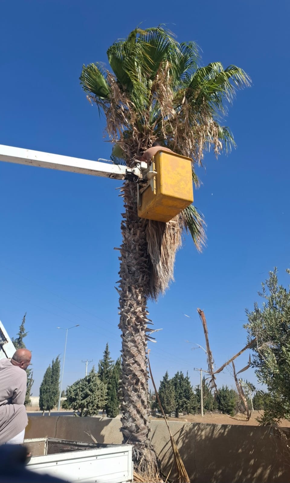 بلدية شيحان والعمل الدؤب"صور"