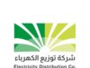 توزيع الكهرباء تخصص 5% من أرباحها لدعم المسؤولية المجتمعية