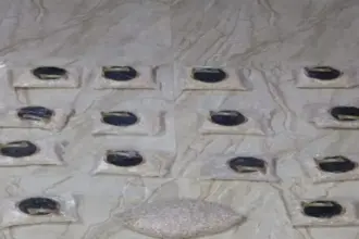 عاجل | الجيش يحبط محاولة تهريب مخدرات عبر بالونات