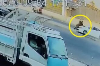 دهست شرطياً وتسببت بتحطيم مركبات.. حادث مروري خطير بالعراق