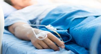 عاجل | 23 حالة تسمم لطلبة في إربد وإغلاق مطعم فلافل