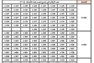 إطلاق طرح 218 رقماً ثلاثياً مميزاً للبيع المباشر عبر بوابة إدارة ترخيص السواقين والمركبات
