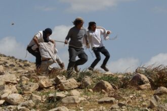 اعتداء مستوطنين على فلسطينيين في الأغوار الشمالية