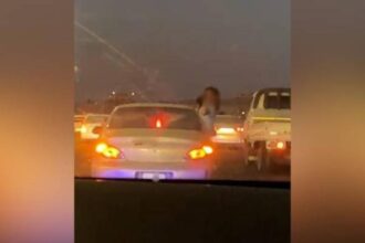 مخاطر على الأطفال في الزرقاء بسبب خروج أجسامهم من نوافذ المركبات
