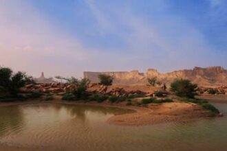 الحياة الفطرية السعودية توضح: تصوير الكائنات في بيئتها الطبيعية لا يعد مخالفة