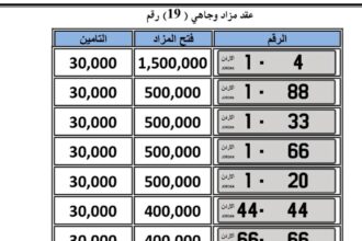 لجنة بيع الأرقام المميزة تراجع وتعدّل تعليمات المزاد المبدئية