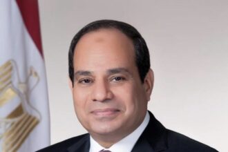 السيسي يرحب بانعقاد مؤتمر حل الدولتين