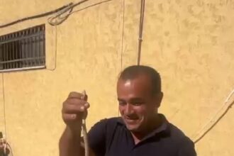 من الجهة المسؤولة عن التعامل مع الأفاعي.. فيديو
