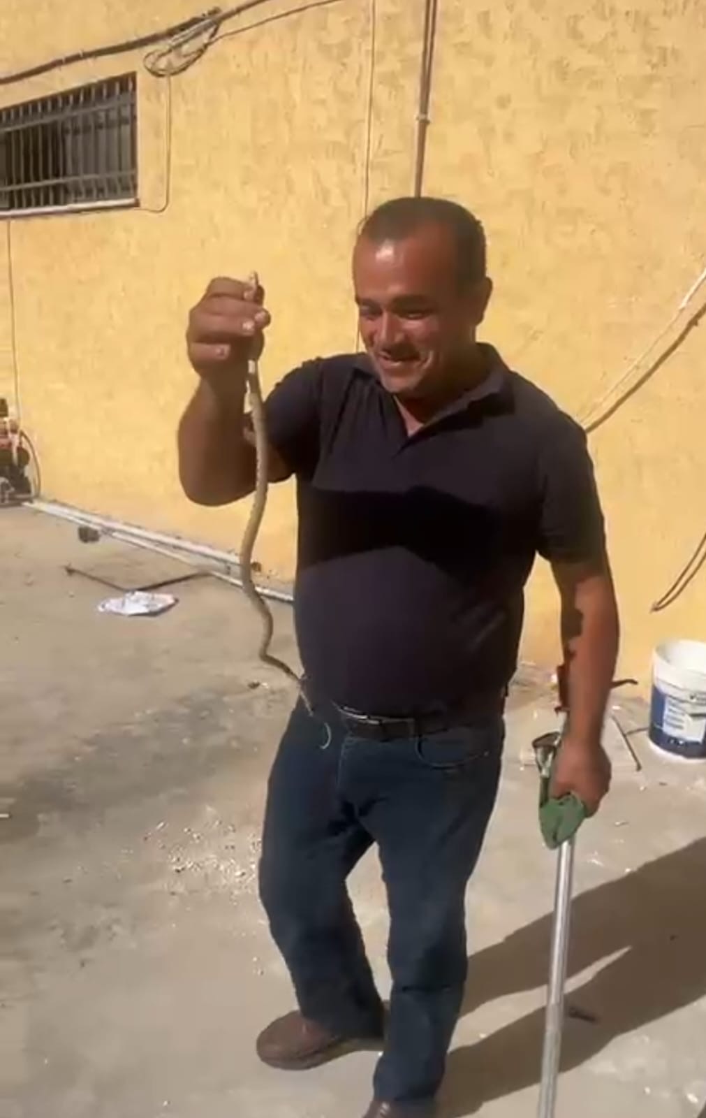 من الجهة المسؤولة عن التعامل مع الأفاعي.. فيديو