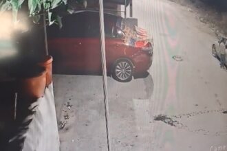 مواطن يرصد طفلين يسرقان محتويات سيارات في إربد