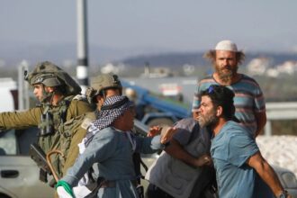 الاحتلال يطلق النيران تجاه قاطفي الزيتون