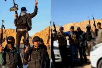 هآرتس: جميع العصابات المدعومة من إسرائيل في غزة تفككت