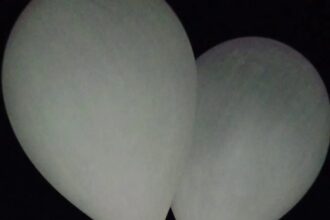 عاجل | الجيش يوقف تهريب مخدرات بكميات كبيرة عبر بالونات