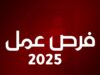 عاجل | مؤسسات حكومية تعلن عن وظائف شاغرة