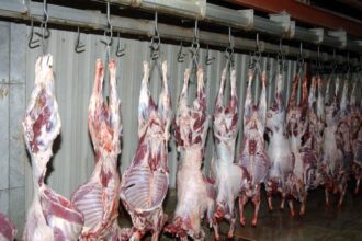 صورة حول : هام لسكان ماركا … نقل مسلخ عمّان إلى الماضونة هام لسكان ماركا … نقل مسلخ عمّان إلى الماضونة