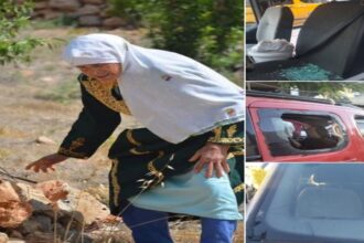 مستوطنون يهاجمون الفلسطينيين خلال قطف الزيتون في نابلس