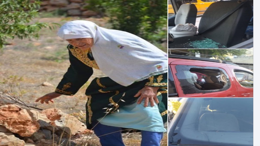 مستوطنون يهاجمون الفلسطينيين خلال قطف الزيتون في نابلس